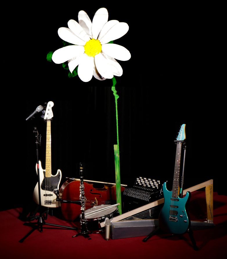 Sweet Daisies Orchestra - Nos Instruments