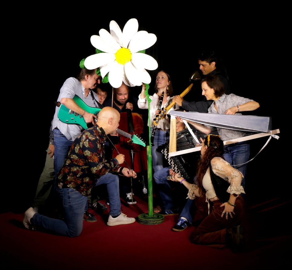 Sweet Daisies Orchestra - Photo 5