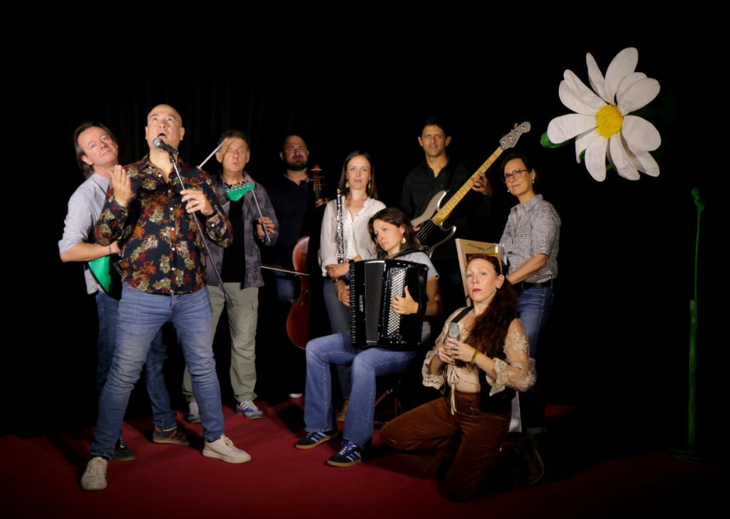 Sweet Daisies Orchestra - Photo 6