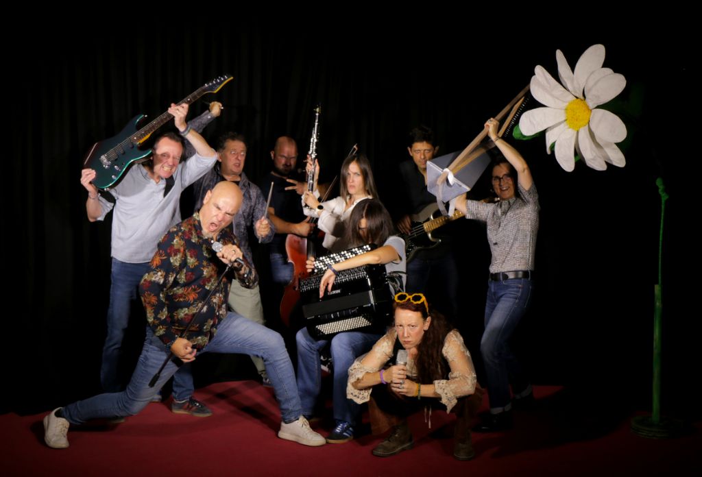 Sweet Daisies Orchestra - Photo 7